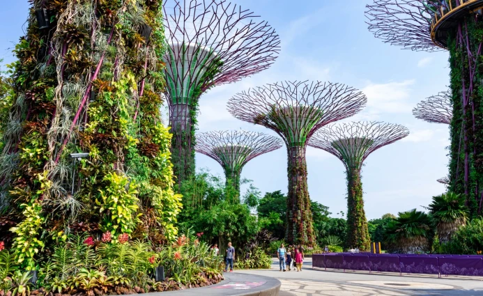 Singapore 3DAYS EXPLORE SINGAPORE 2 ~blog/2023/7/25/untitled_design__2