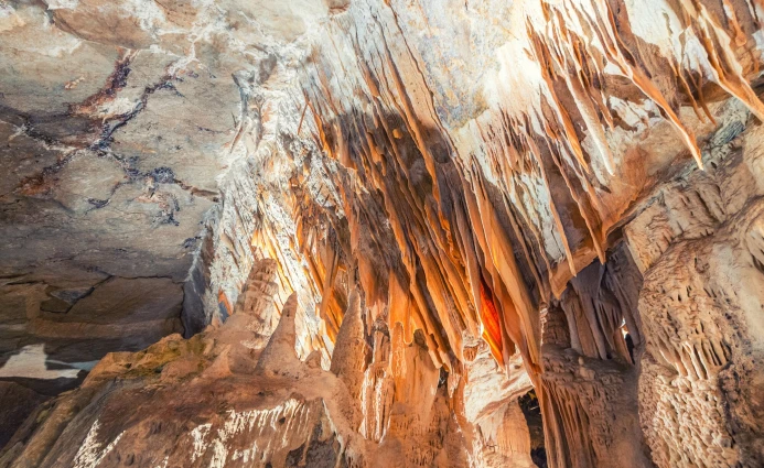 Australia 4DAYS PERTH & MARGARET RIVER DAY TOUR (PRIVATE TOUR/ NO FLIGHT) 1 ~blog/2023/8/16/australia_perth__15
