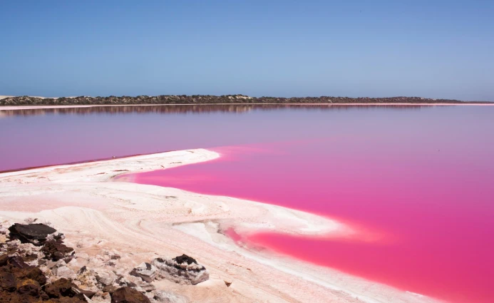 Australia 4DAYS PERTH — GERALDTON & PINK LAKE TOUR (NO FLIGHT) 6 ~blog/2023/8/16/australia_perth__22