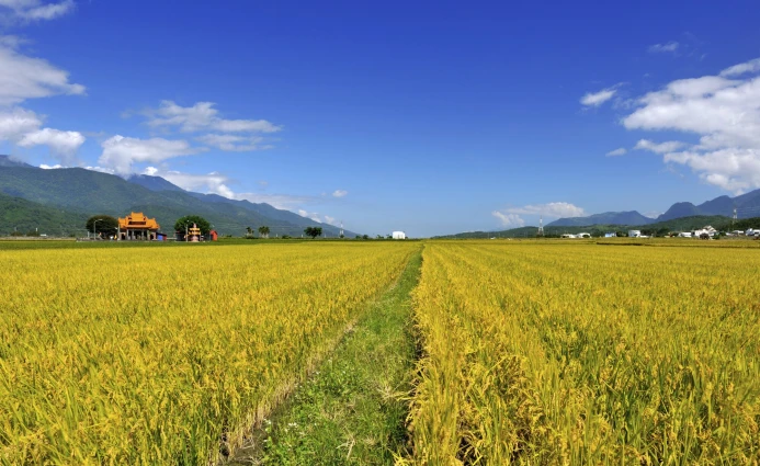 Taiwan 7DAYS BEAUTIFUL TAIWAN ROUND ISLAND 2 ~blog/2023/8/28/taiwan__8