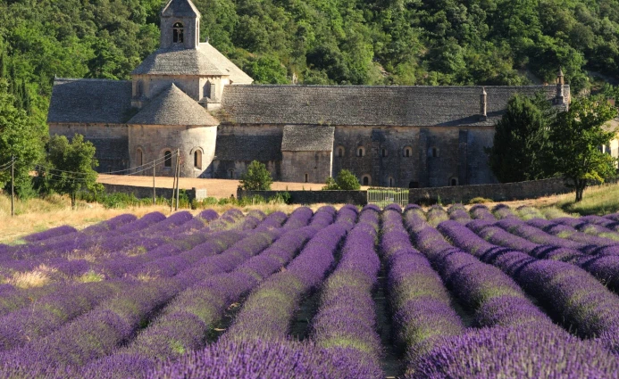 Europe 8DAYS GREATEST OF EUROPE (NO FLIGHT) 7 ~blog/2023/8/31/8days_paris_spain__6