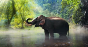 4DAYS FANTASTIC BANGKOK  PATTAYA