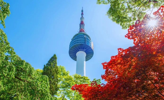 Korea 4DAYS SEOUL & DMZ TOUR 5 ~blog/2025/6/4/foto_objek_wisata_20250604_091347_0002