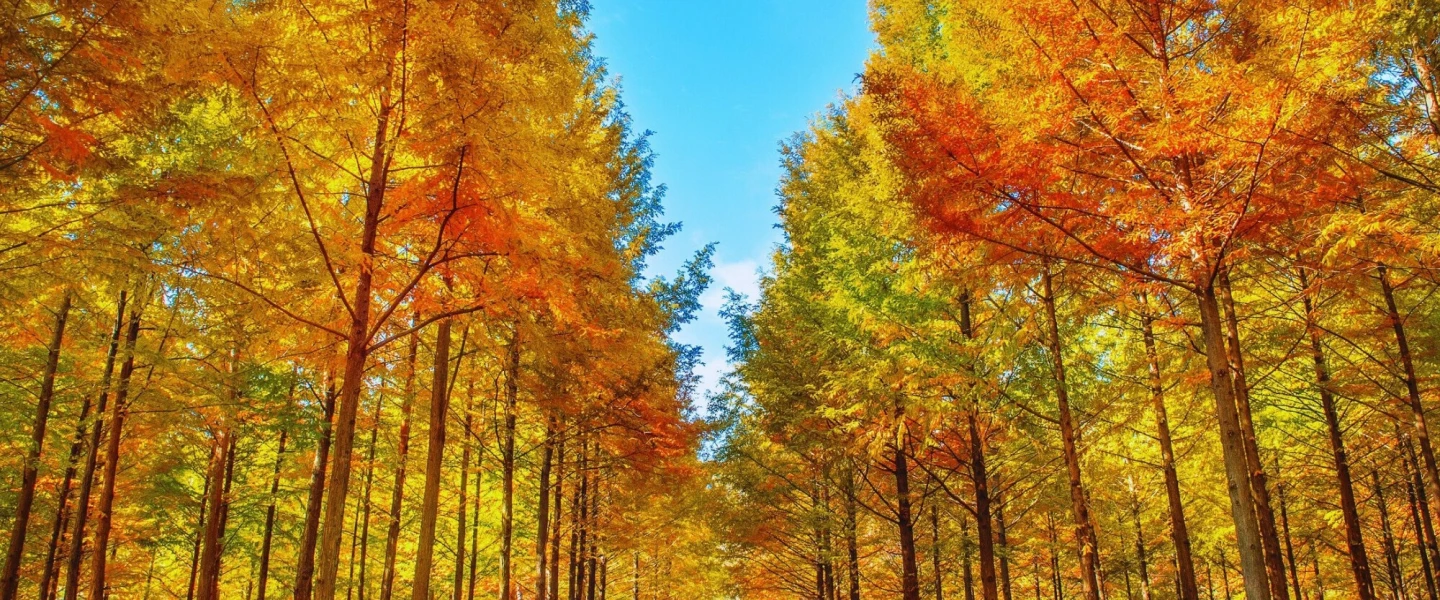 New Experience and Greatest Adventure