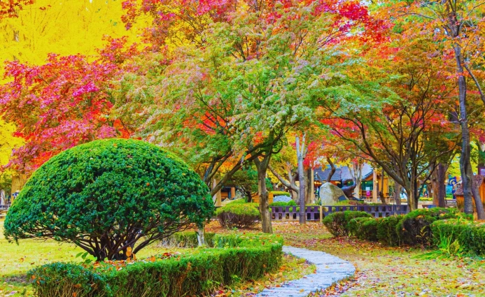 Korea 4D ANNYEONG SEOUL & NAMI ISLAND BY CATHAY PACIFIC 4 ~dl/2026/1/6/1000146528