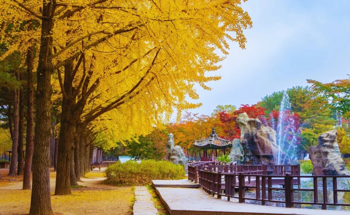 Korea 4D ANNYEONG SEOUL & NAMI ISLAND BY CATHAY PACIFIC 1 ~dl/2026/1/6/1000146529