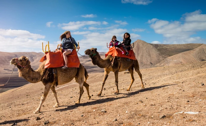 Dubai 4D AMAZING ABU DHABI & DUBAI WITH DESERT SAFARI BY SINGAPORE AIRLINES 4 ~dl/2026/1/8/30409